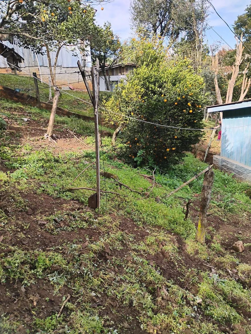Terreno com casa de madeira  - Foto 2