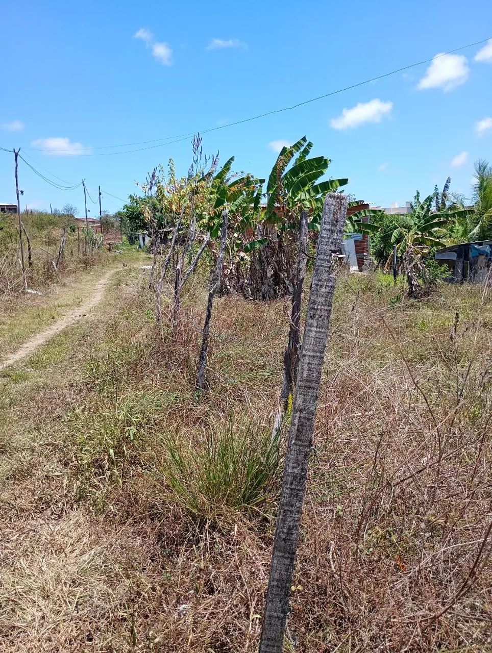 Terreno 6x24  R$ 18.000 - Foto 4