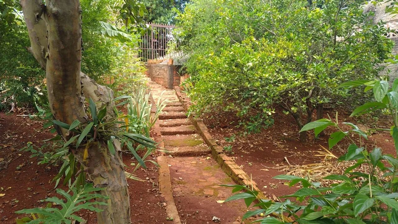 Terreno à Venda - , Califórnia - Foto 3