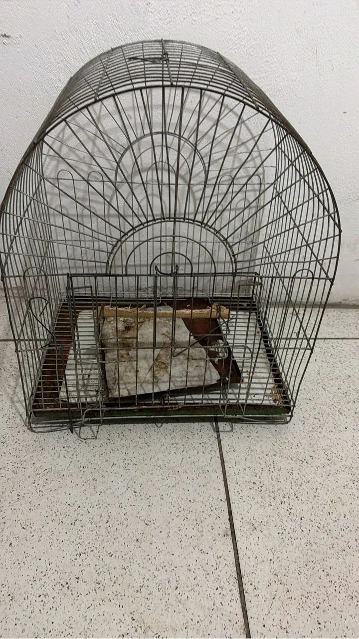 Gaiola de loro em bom estado 