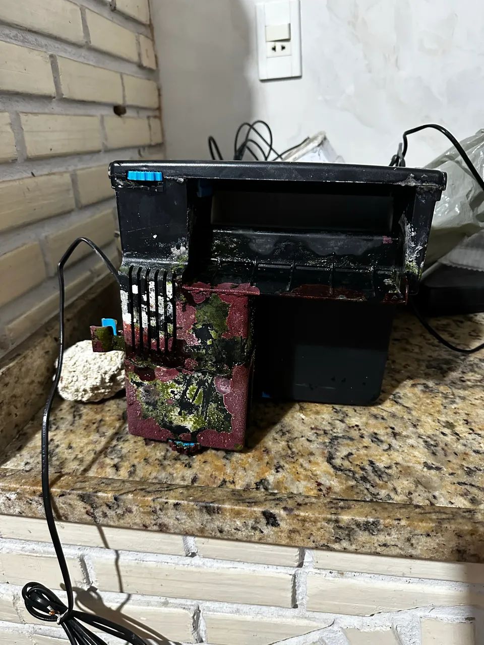 Aquário marinho - Foto 3