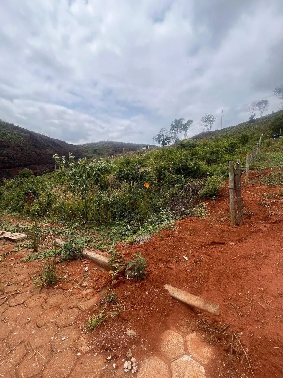 Excelente lote em Padre Viegas - Foto 5
