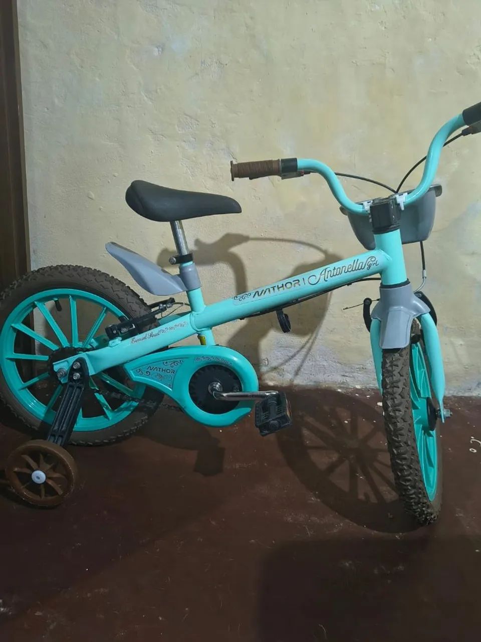 Bicicleta
