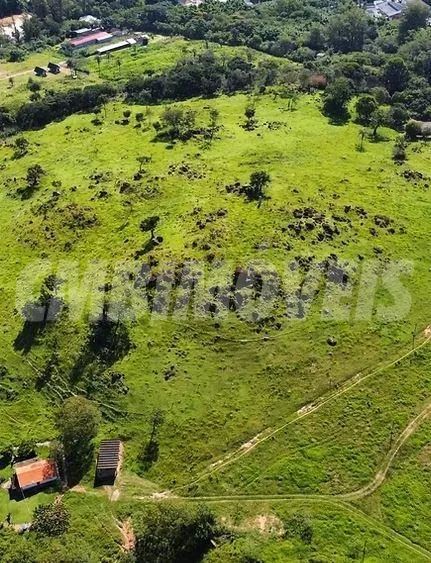 terreno - Jardim Carlos Gomes - Campinas - Foto 4