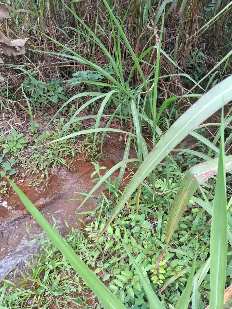 Lote à Venda  360m² em Igarapé/MG