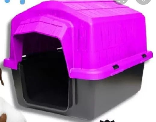 CASA PET N 5