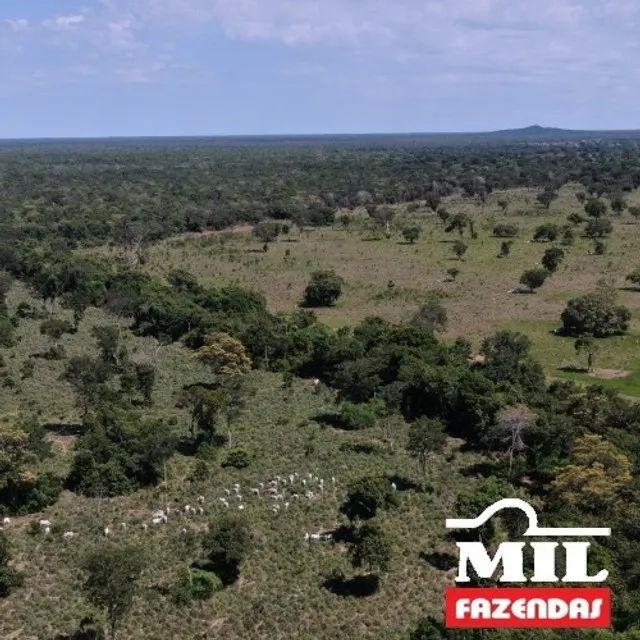 1080 Alq. (5.228 HÁ) Cocalinho -MT - Foto 2