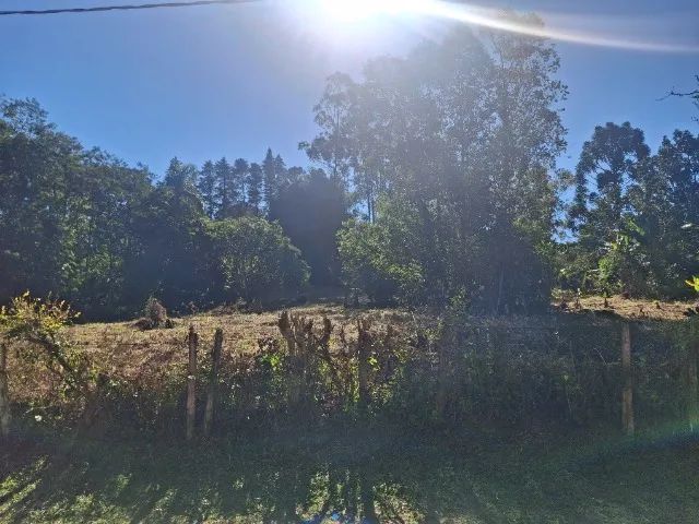 Terreno  - Foto 3