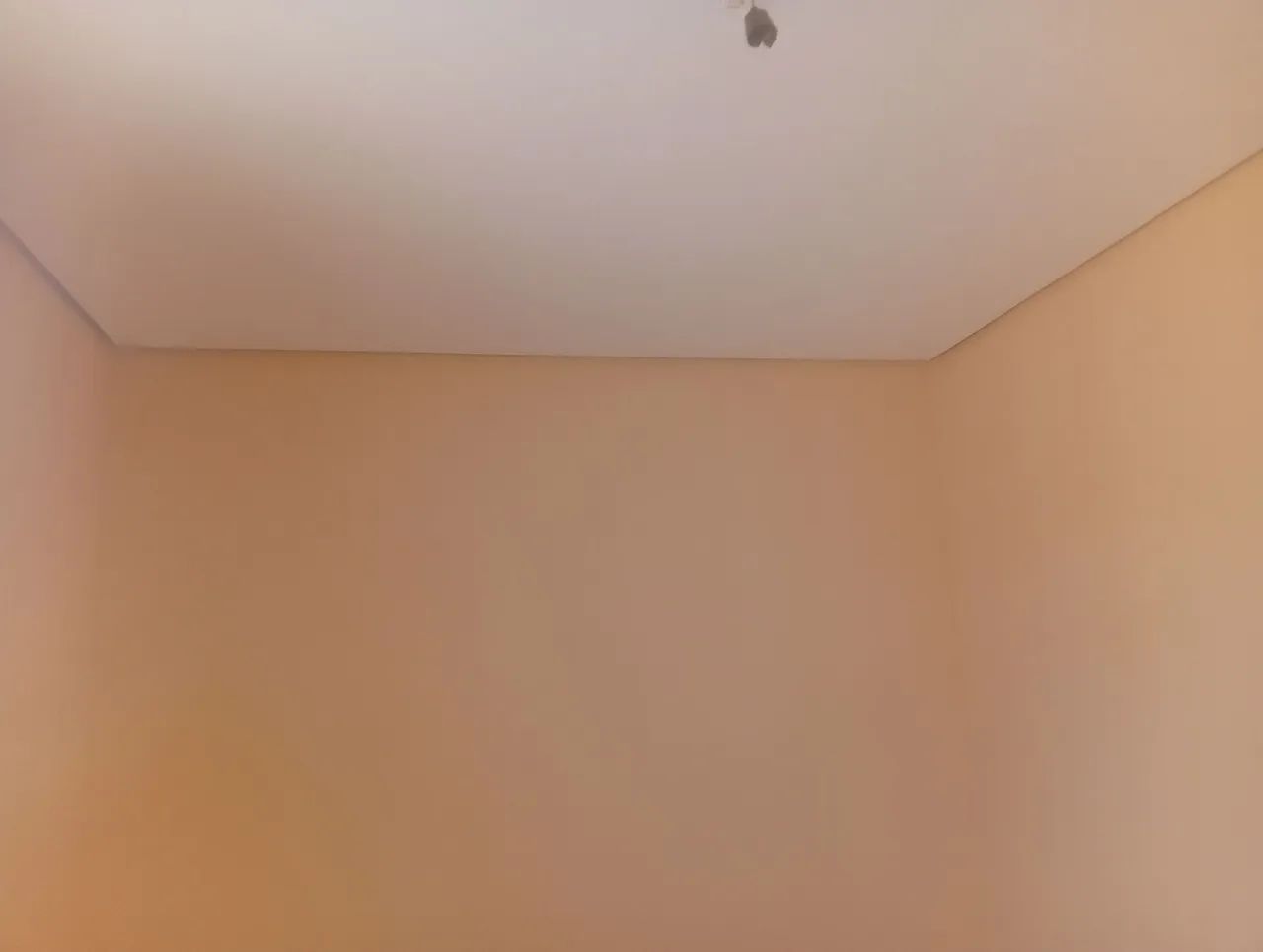 Pintor  - Foto 4