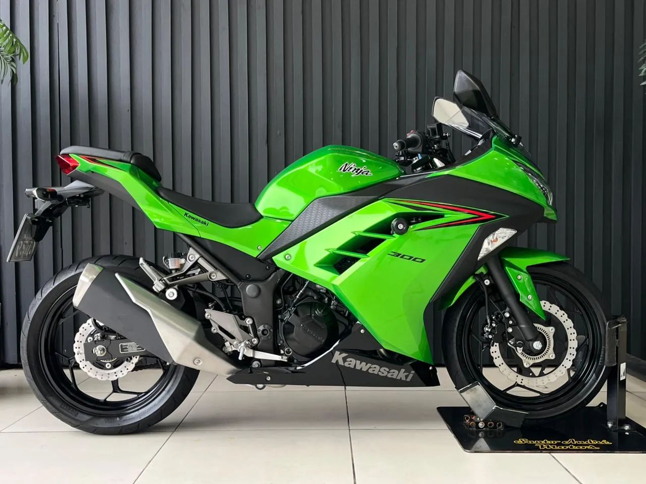 Kawasaki NINJA 300 - Foto 5