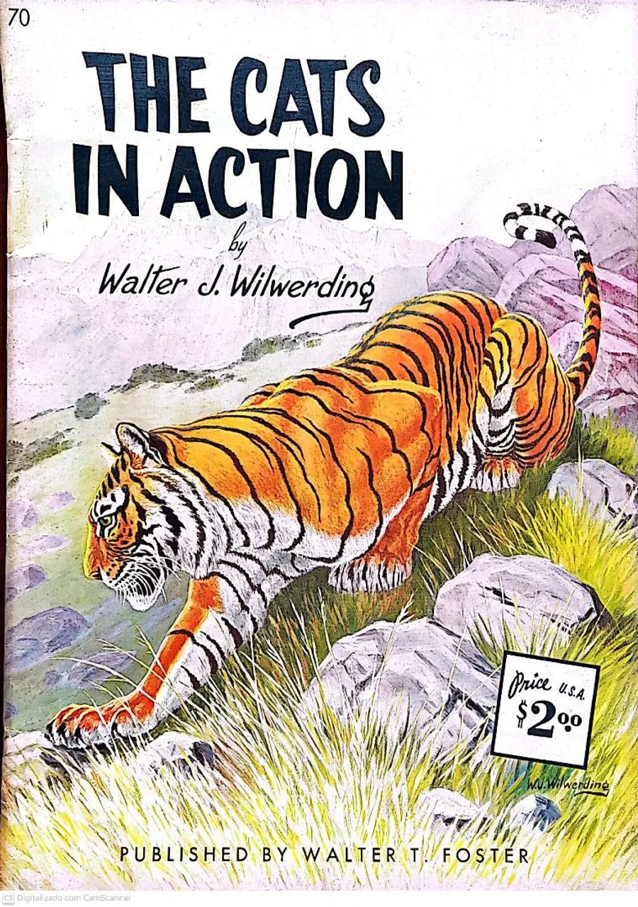 Livro The Cats in action by Walter J. Wilwerding (usado) N° 70