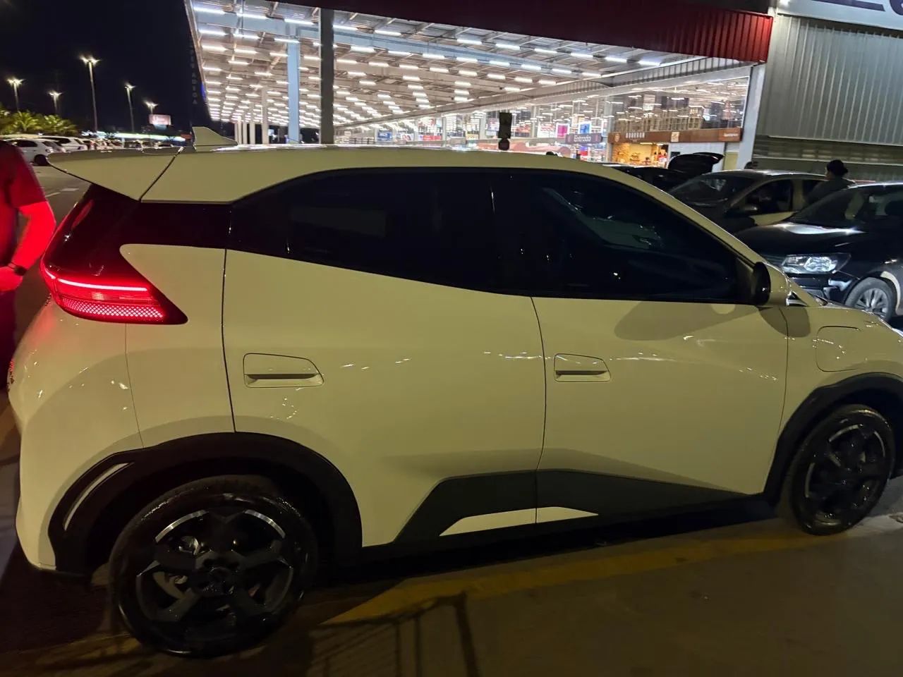 BYD Dolphin Mini (Elétrico) 2024