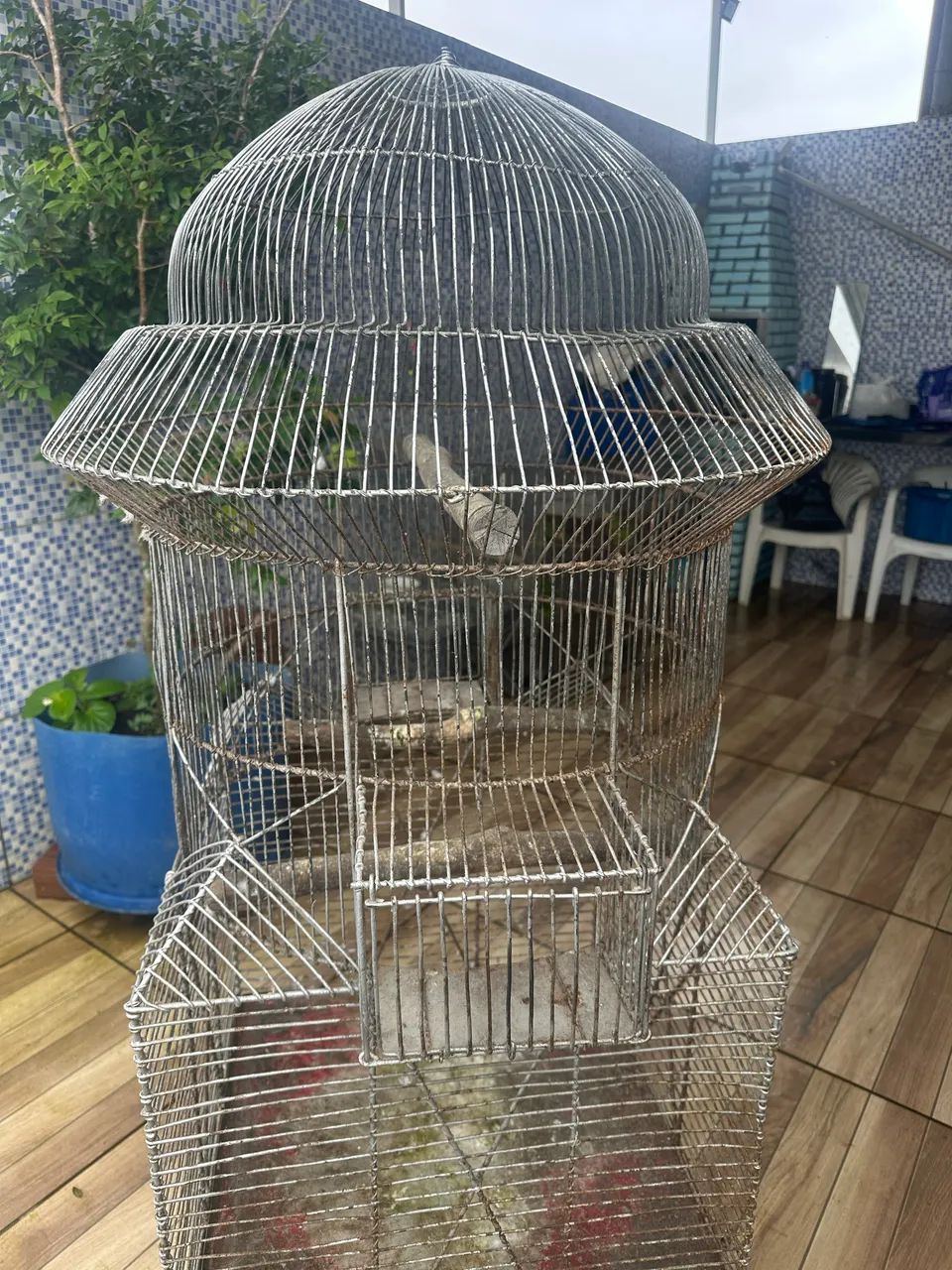 Gaiola - Foto 2