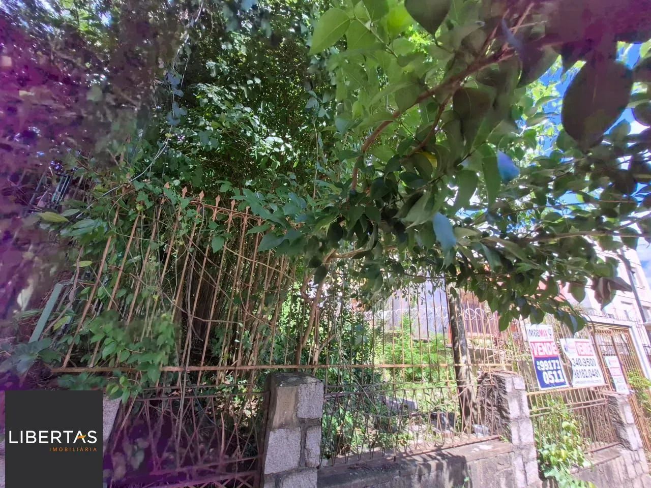 EXCELENTE OPORTUNIDADE DE TERRENO  LOCALIZAÇÃO ESTRATÉGICA! - Foto 5