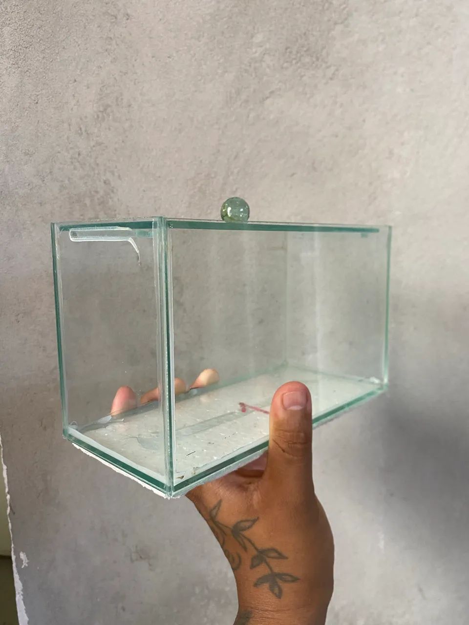 AQUARIO 415075236011714565