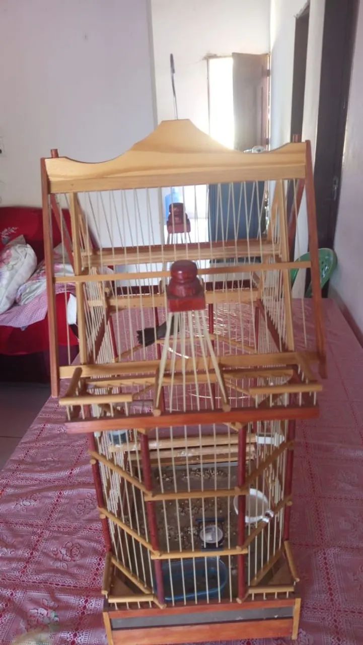 vende se uma gaiola e um curio