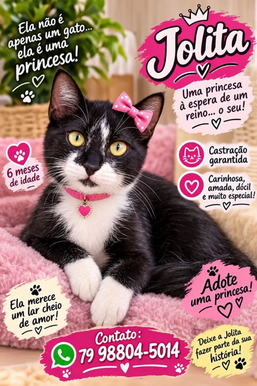 FRAJOLINHAS - Foto 4