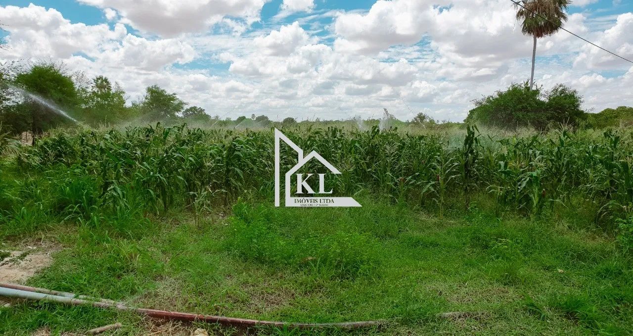 Fazenda de 120 Hectares com Abundância de Água - Oportunidade para Investimento ou Lazer - Foto 5