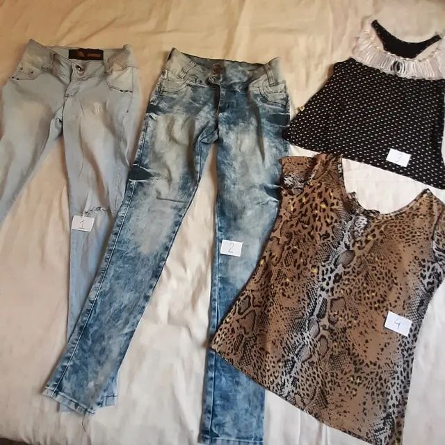 Lote de roupas femininas