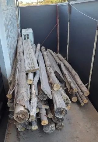 Escoras de eucalipto - Foto 2
