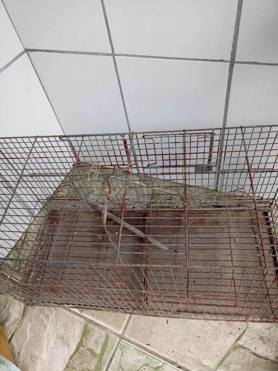 Gaiola - Foto 3