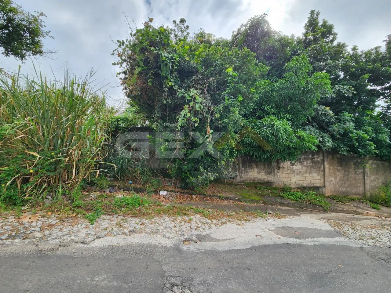 Lote à Venda no Bairro Belvedere com 347m² - Foto 4