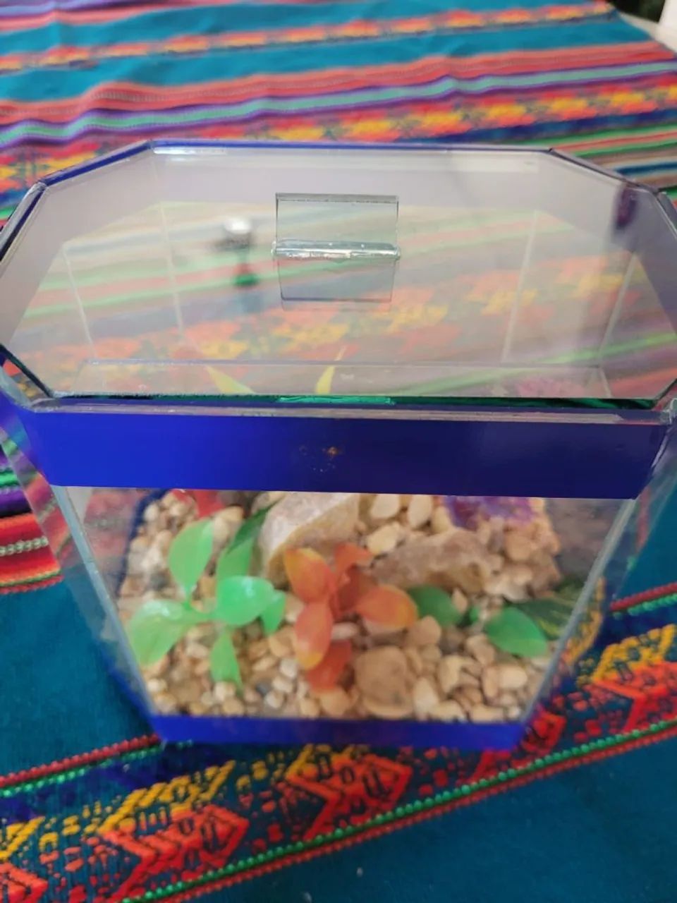 Aquário para betas, número 2, intacto - Foto 2