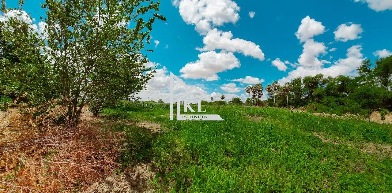 Fazenda de 120 Hectares com Abundância de Água - Oportunidade para Investimento ou Lazer - Foto 4
