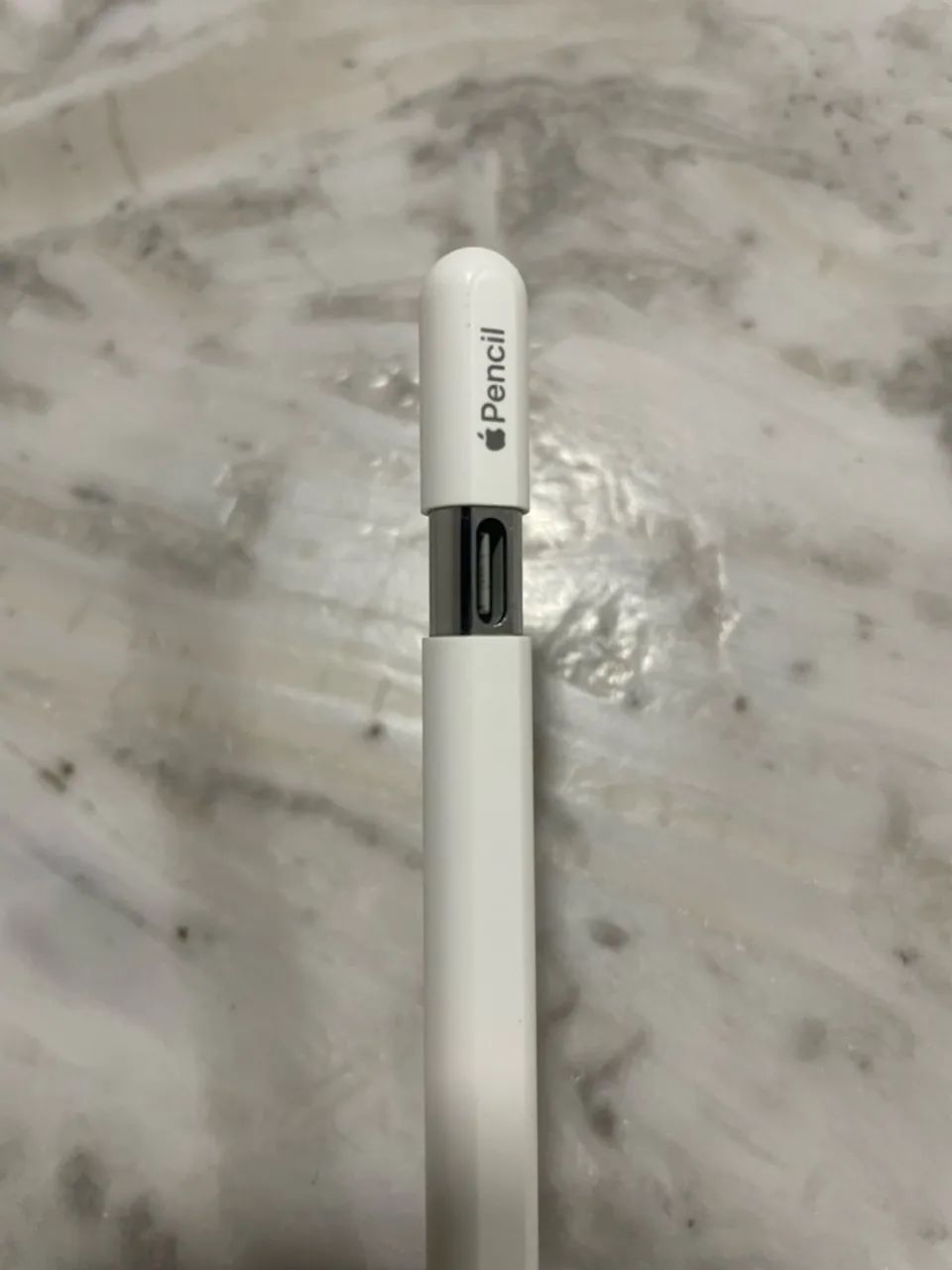 Apple Pencil (USB-C) Original  - Foto 2