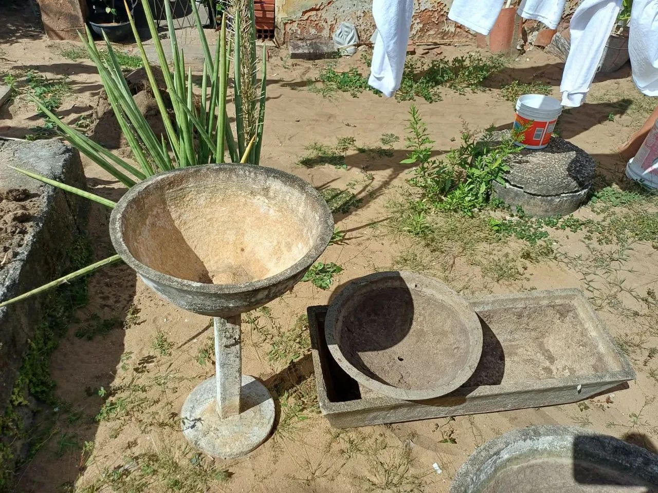 Vasos de plantas  - Foto 3