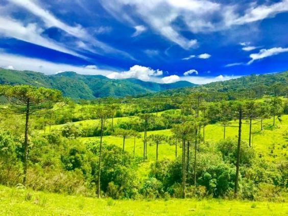 Chácaras em Urubici