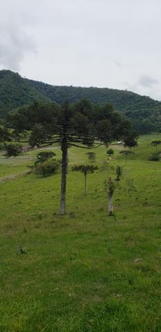 Terreno em Bom Retiro/área rural em Bom Retiro - Foto 3