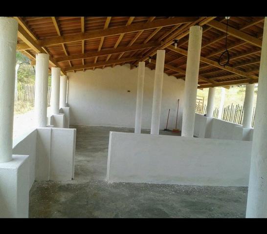 Chácara em Afogados da Ingazeira, 20 mil M² de Área, casa com 2 quartos - Foto 9