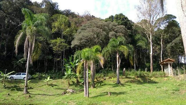 Chácara oportunidade - Foto 4