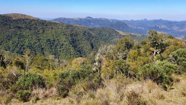 Sitio em Urubici/chácara em Urubici/área rural - Foto 7