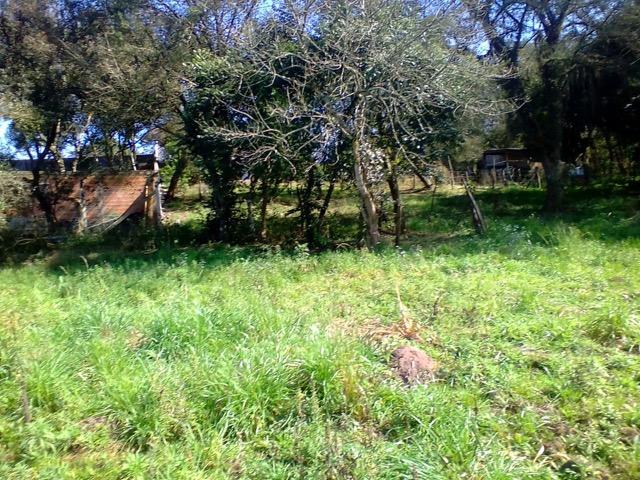 Terreno Rural - Foto 3