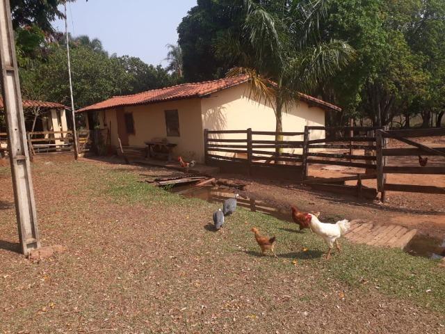 Fazenda 70 Alqueires - região Paranaíba - F100519 - Foto 6