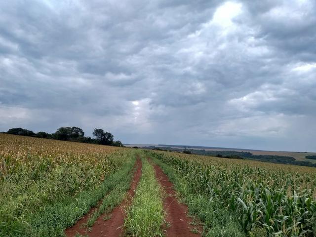 Fazenda de lavoura em Ponta Porã MS