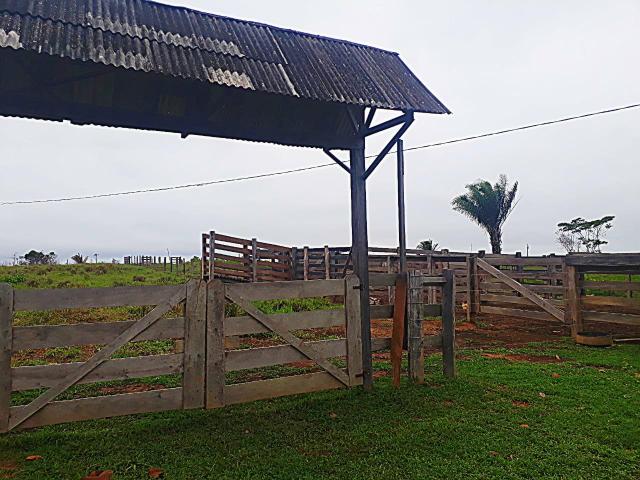 Vende-se terra ramal do mutum - Foto 7