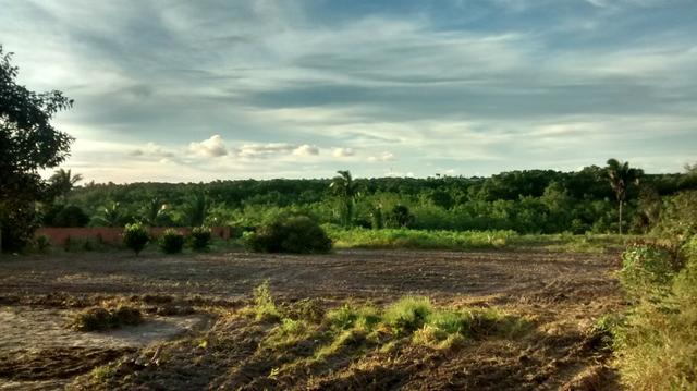 Lindo Sitio em São Jose dos Índios - Estrada de Ribamar * - Foto 2
