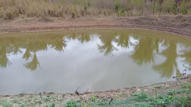 Vende-se Fazenda (abaixo o preço p vender logo) - Foto 11