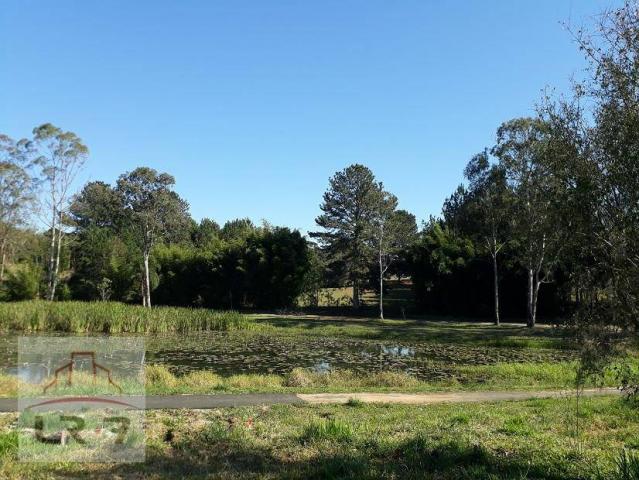 Terreno no Bosque Merhy, Quatro Barras. - Foto 8