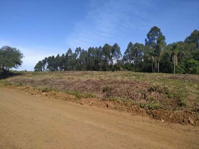 Chacrinha Estancia / Portao - Foto 2