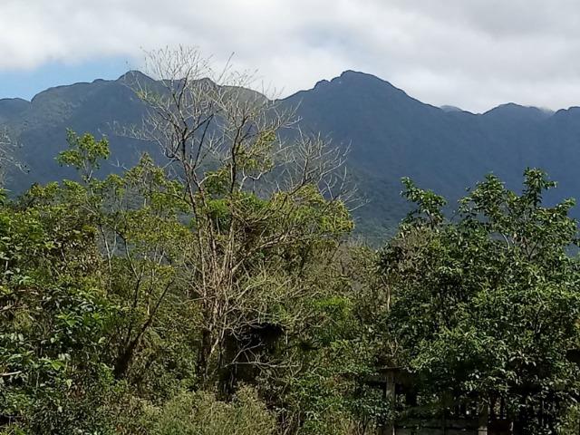 Chácara - América de Cima - Morretes - Foto 16
