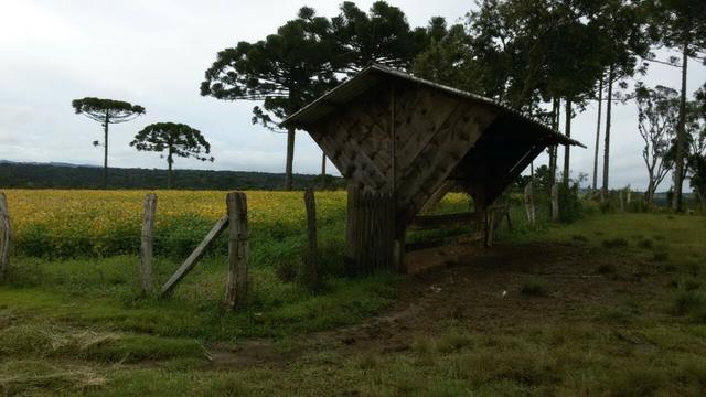 Fazenda /Lapa - Foto 7