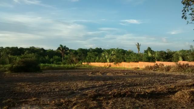 Lindo Sitio em São Jose dos Índios - Estrada de Ribamar * - Foto 7