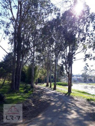 Terreno no Bosque Merhy, Quatro Barras. - Foto 5