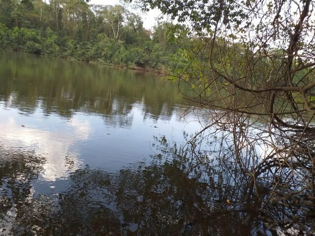 Chácara 7,hac beira do rio municípi de rosario - Foto 4