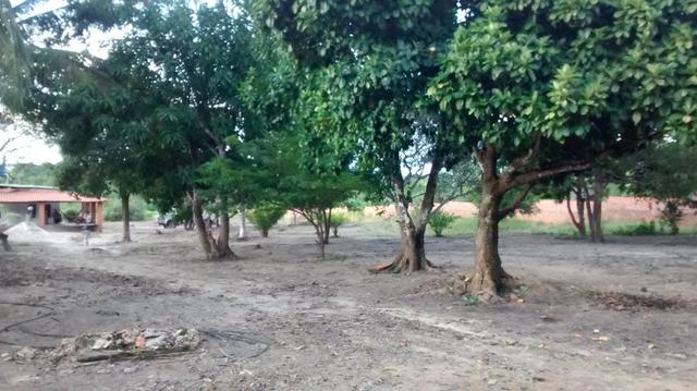 Lindo Sitio em São Jose dos Índios - Estrada de Ribamar * - Foto 5