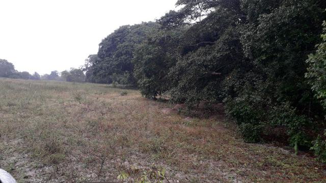 Fazenda em Conde, 18 tarefas - Foto 3
